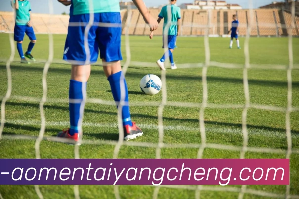 澳门太阳城平台生态图